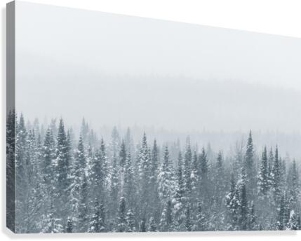 Perspective Canvas Print
