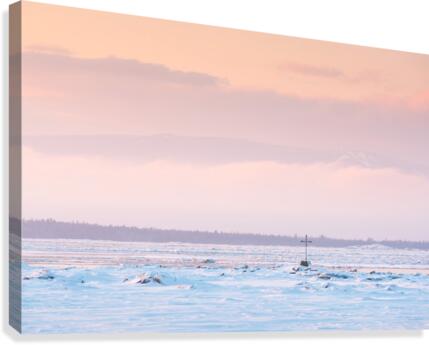 Lemprise Canvas Print