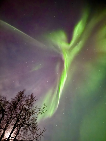 IMG 1395 by Cris Sutherland