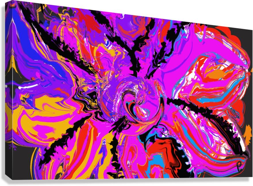 Vortex Canvas Print
