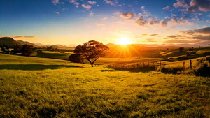  Stunning mural depicting a serene sunrise over a lush green field in the countryside