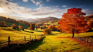 Stunning mural featuring an autumn landscape