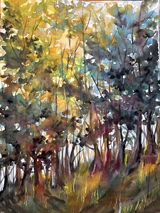 Colorful Trees