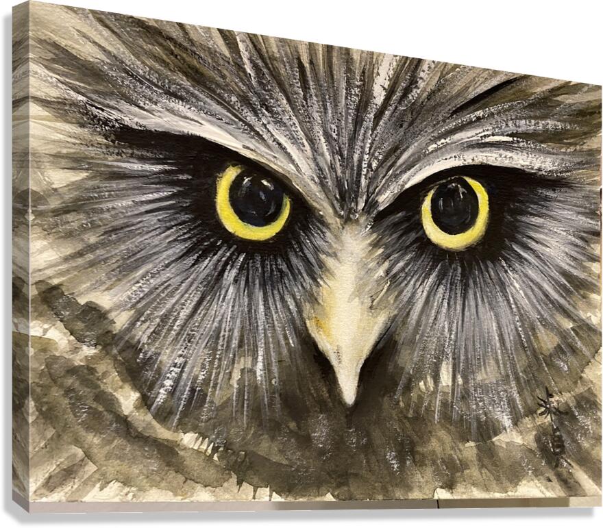 Owl -3 Canvas Print
