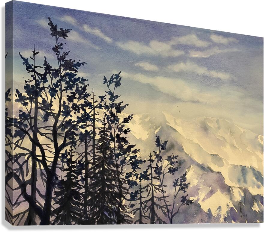 Rocky Winter Canvas Print