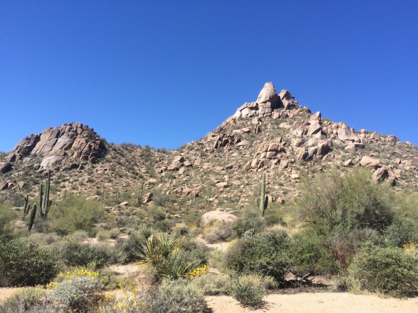 Pinnacle Peak Print