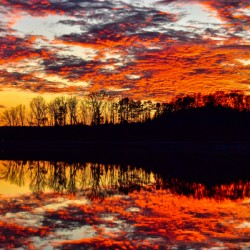 Fiery Sunset NC 1 of 1