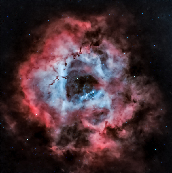 Caldwell 49 - The Rosette Nebula by AstroAF