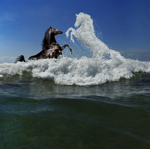 struggle of the elements