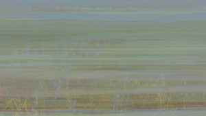 Monet s Garden 2025 final