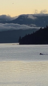 Calm Waters