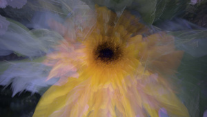 Favourite Summer Dress final