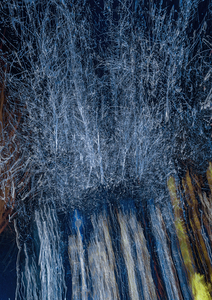 Neuron That Fire Together vertical hr