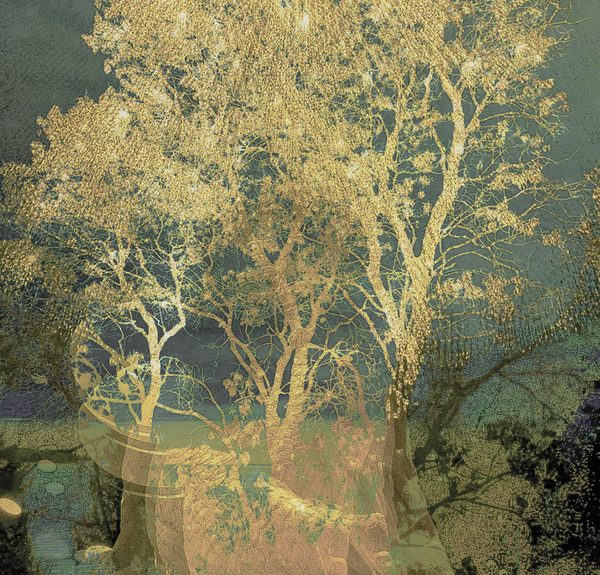 Golden Light final HR duplicate Print