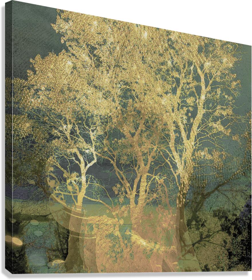 Golden Light final HR duplicate Canvas Print