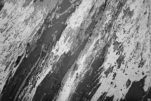 J Horne Black and White