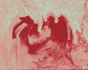 Snuhfuh Inverted