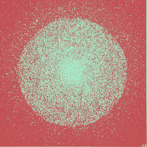 White Dwarf Rose by aka KJ