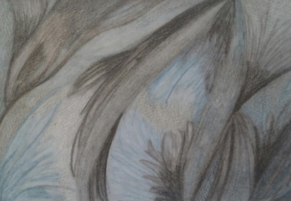 Orca Print
