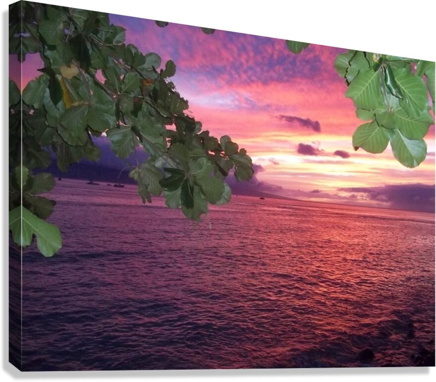Maui Sunset Canvas Print
