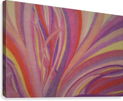Secret Fields Canvas Print