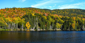 Beautiful panorama view from White Mountain