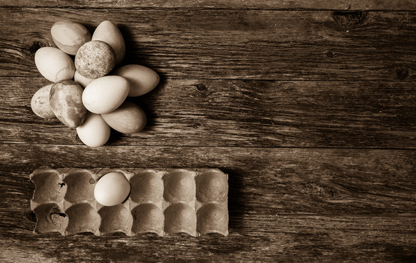 Easter eggs on rustic wood in sepia tone by MVP