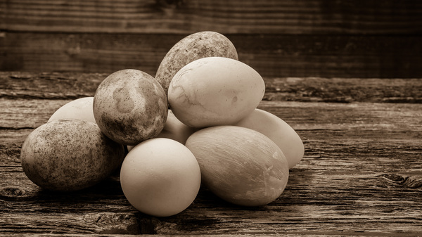 Easter eggs on rustic wood in sepia tone by MVP