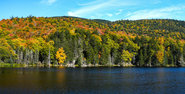 Beautiful panorama view from White Mountain by MVP