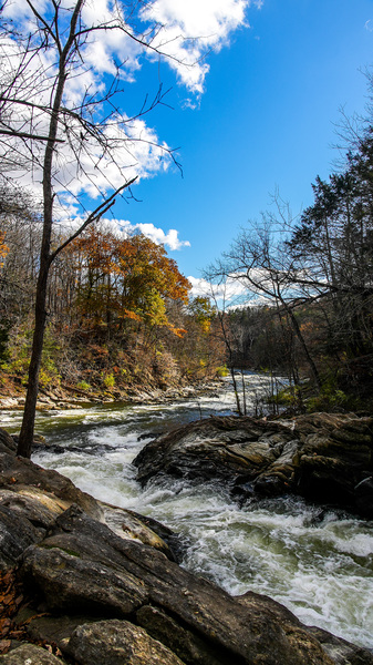 Curved river in autumn season by MVP