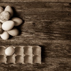 Easter eggs on rustic wood in sepia tone