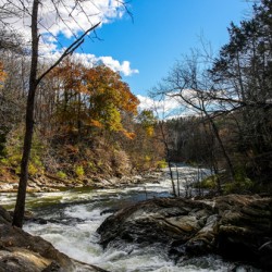 Curved river in autumn season