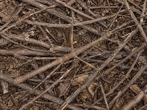 Camouflage 2