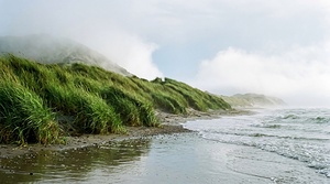 Dune Landscape for Wall Art 5