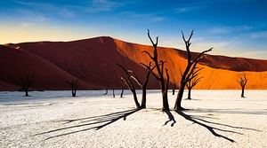 Dune Landscape for Wall Art 8