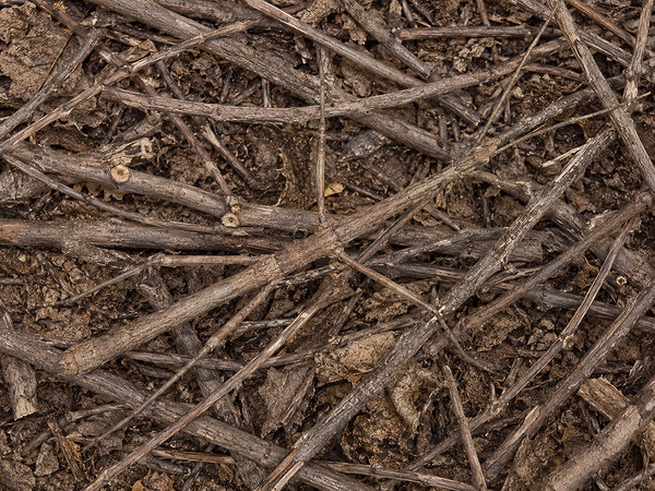 Camouflage 2 Print