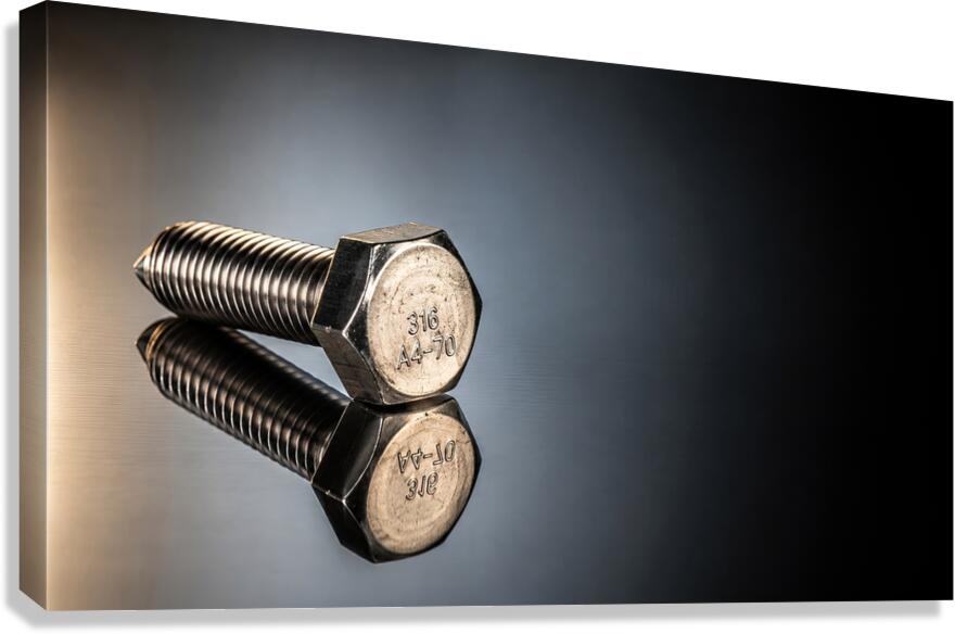 Metal Screw Reflection Canvas Print