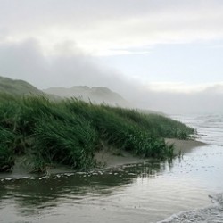 Dune Landscape for Wall Art 10