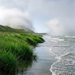Dune Landscape for Wall Art 9