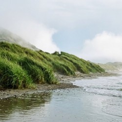 Dune Landscape for Wall Art 5