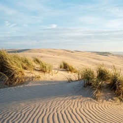 Dune Landscape for Wall Art 2