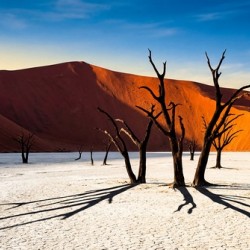 Dune Landscape for Wall Art 8