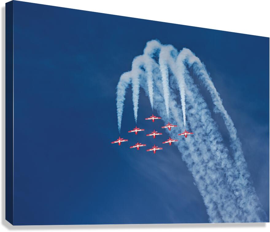 Camaraderie Canvas Print