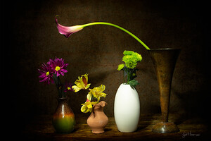 Disparate Objects in a Line Nbr 2