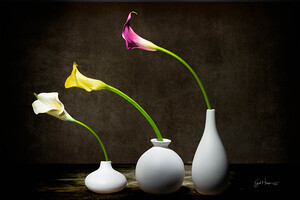 Disparate Objects in a Line Nbr 3