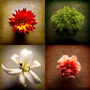 Flowers from Above 4 up