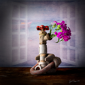 Flower in Valve Nbr 2