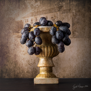 Grapes by Mill