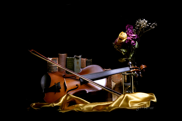 Violin and Books in Gold Print