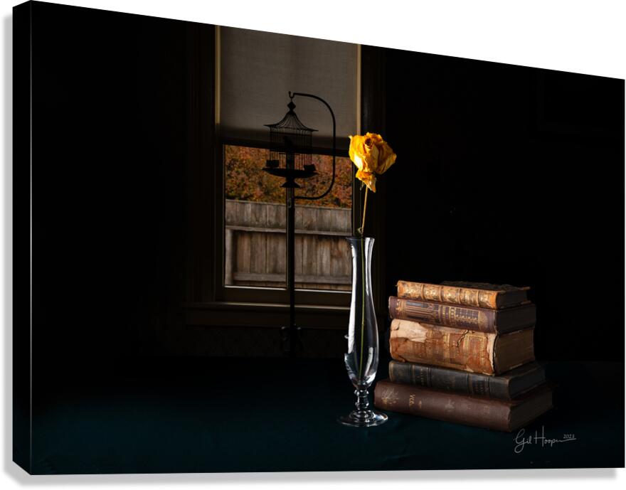 Yellow Rose by Window Canvas Print